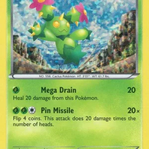 Maractus - McD Promo - 002